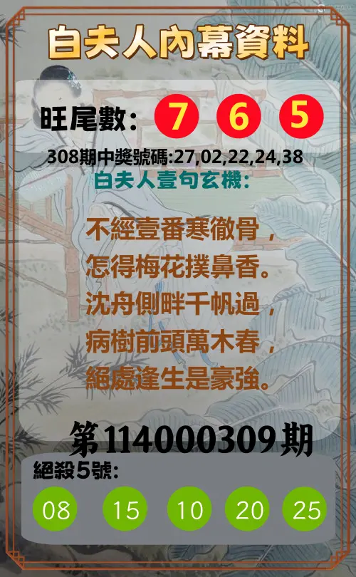 今彩539第114000309期(12/23)白夫人內幕資料
