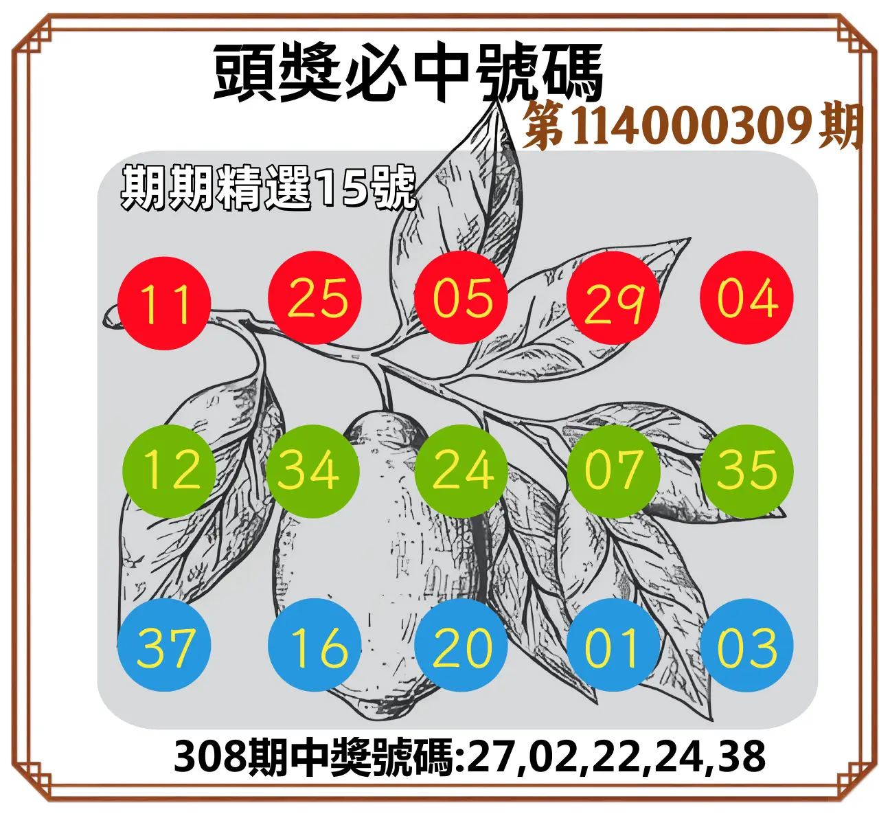 今彩539第114000309期(12/23)頭獎號碼