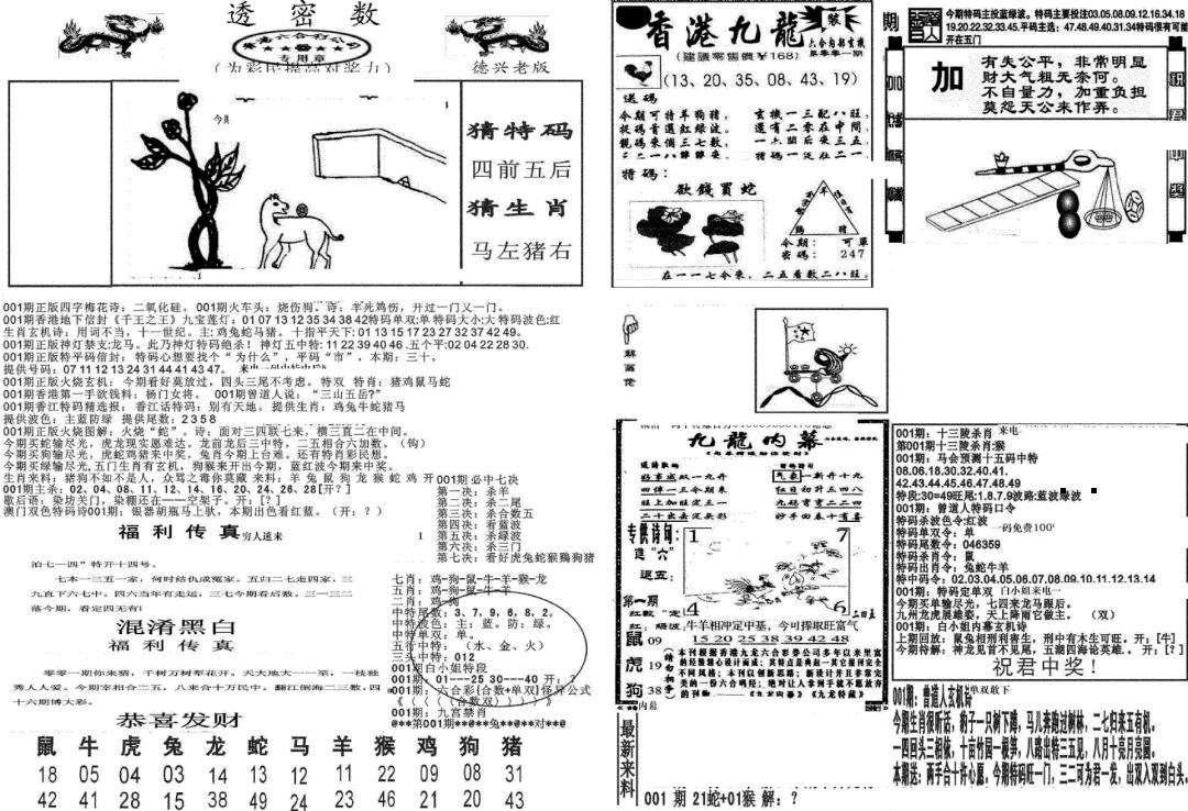 六合彩001期新透密数A(新)(黑白)