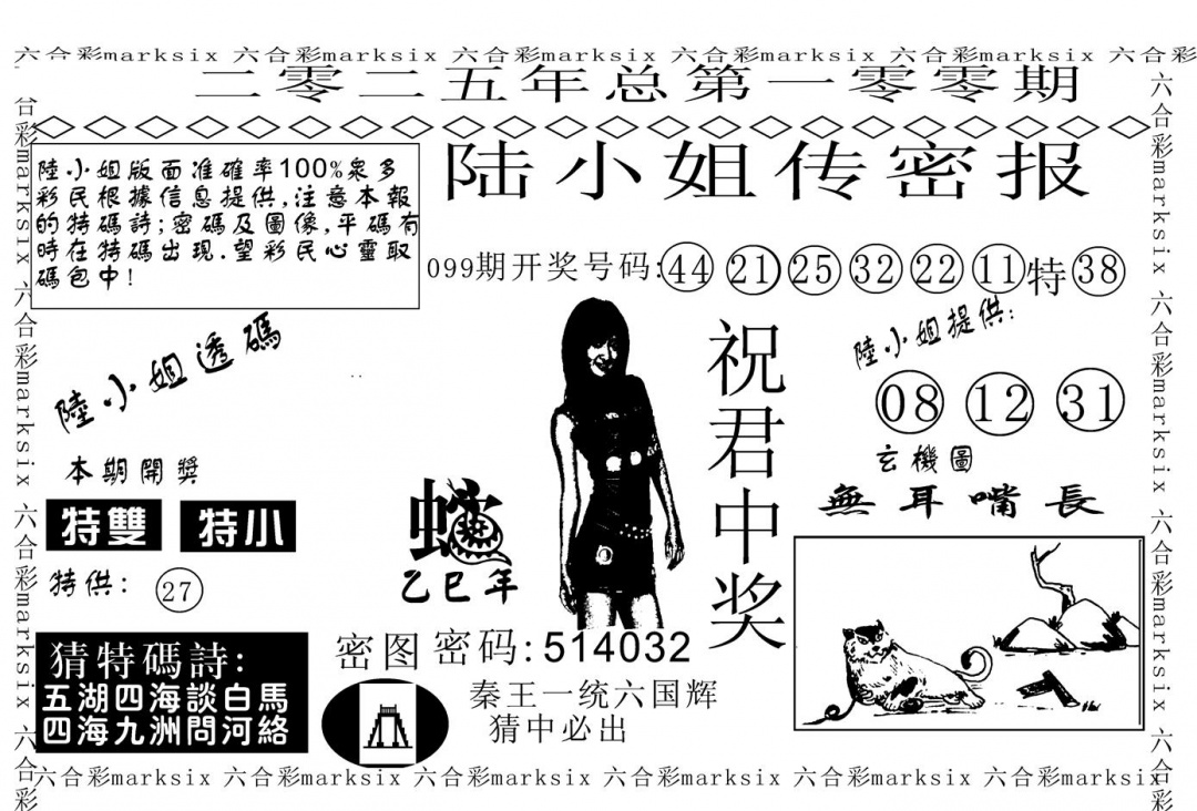 六合彩100期陆小姐传密A(黑白)