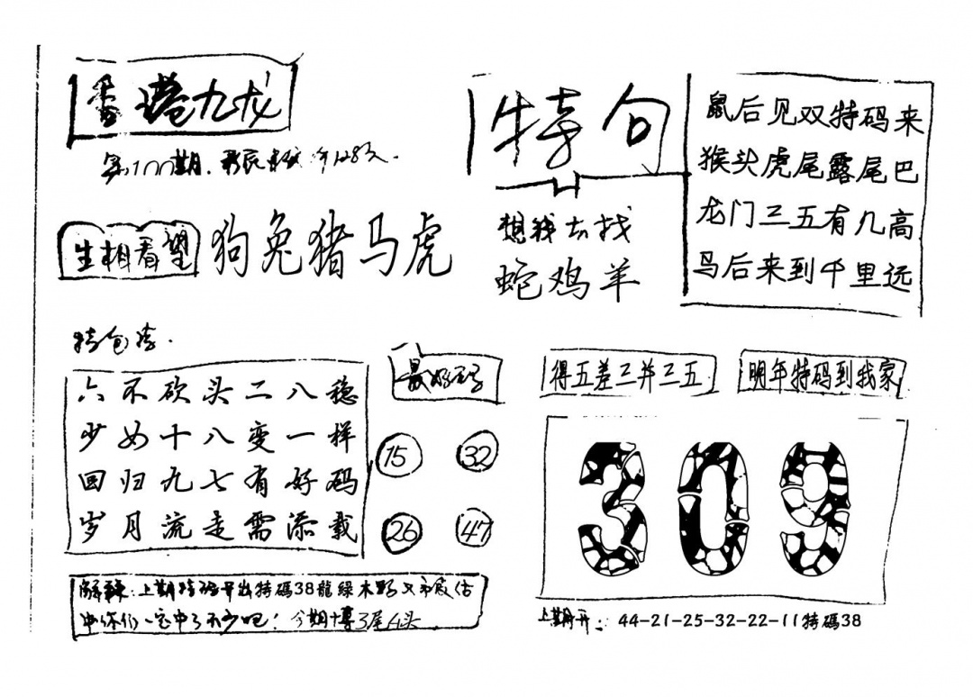 六合彩100期香港九龙(新图)手写(黑白)