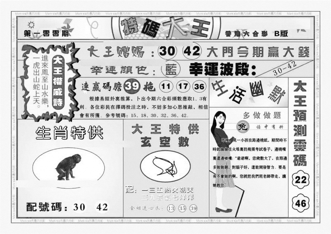 六合彩100期特码大王B（新图）(黑白)