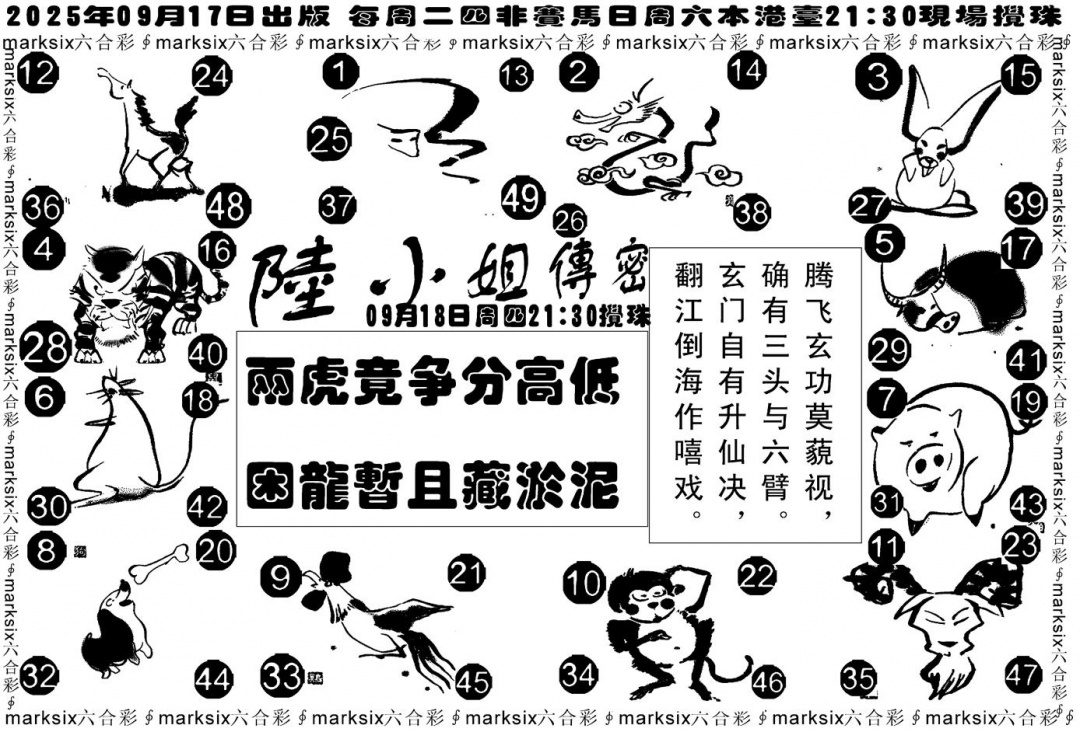 六合彩102期陆小姐传密B(黑白)