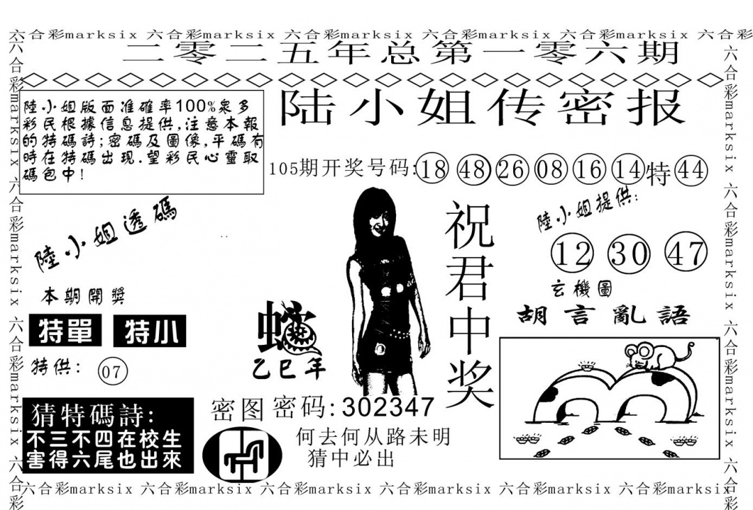 六合彩106期陆小姐传密A(黑白)