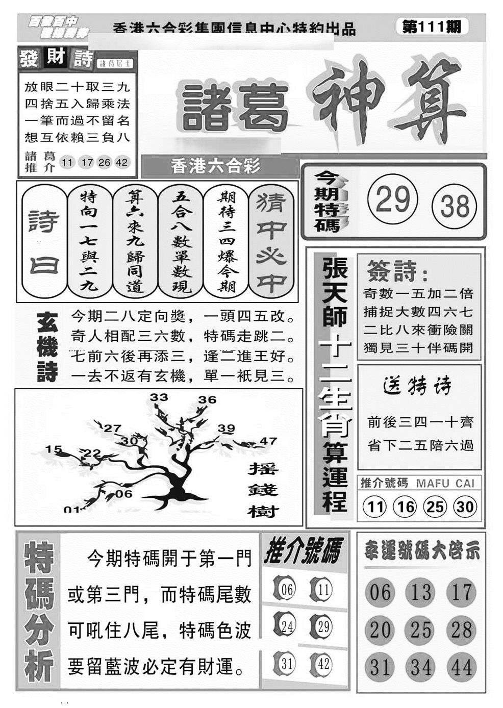 六合彩111期诸葛神算(特准)(黑白)