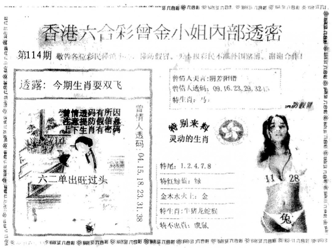 六合彩114期曾金小姐A(黑白)