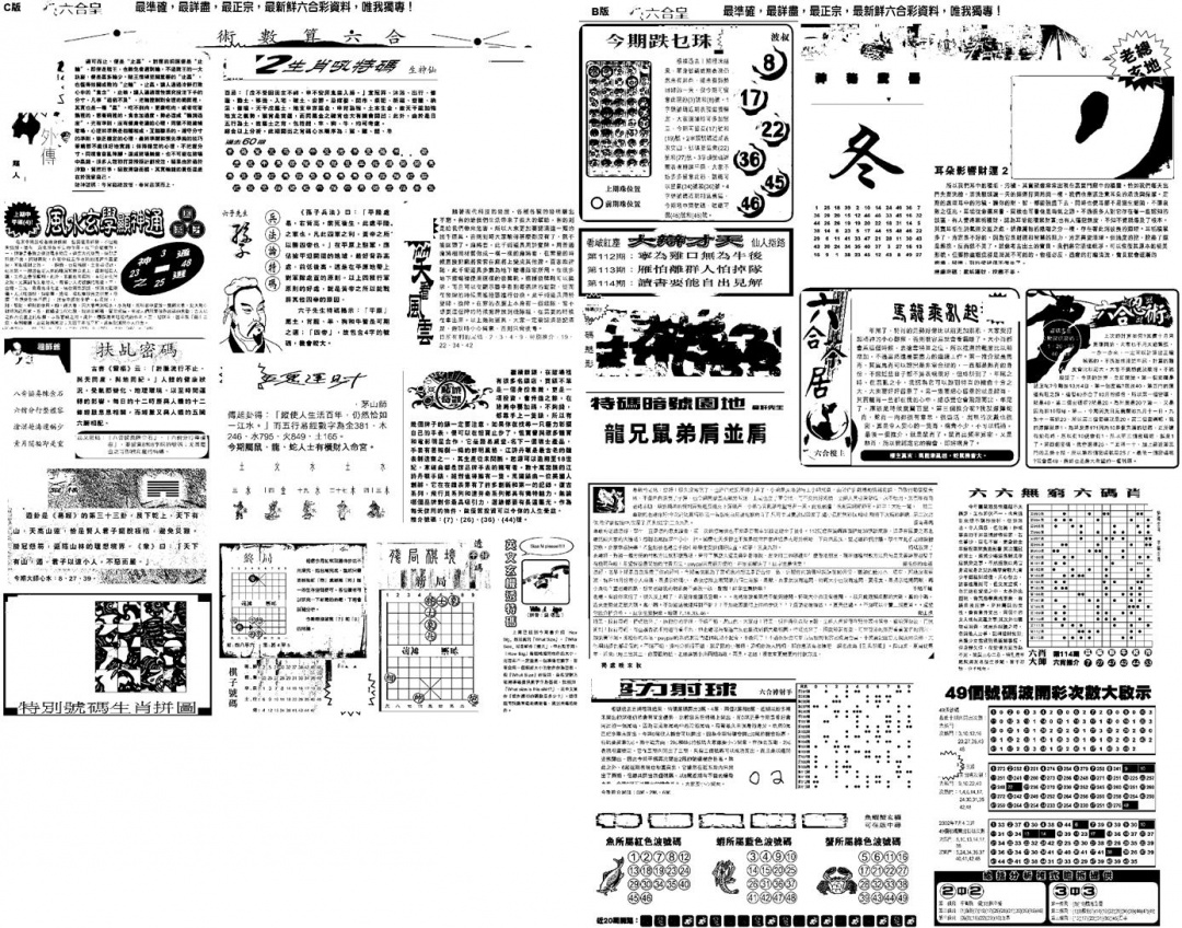 六合彩114期另版六合皇B(黑白)