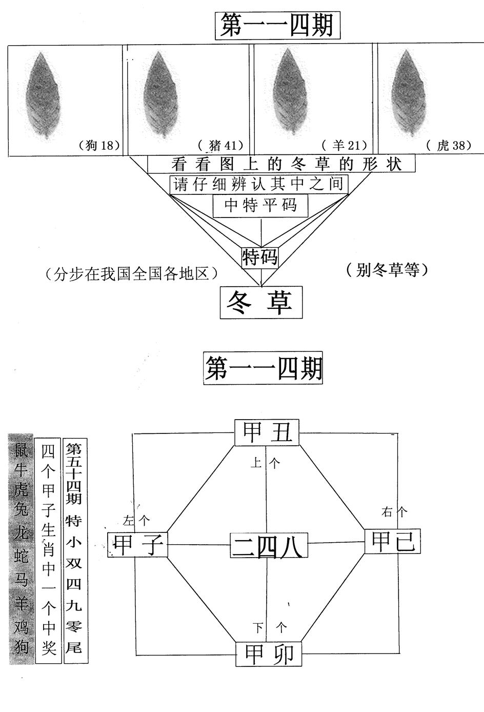 六合彩114期每期一花草(黑白)