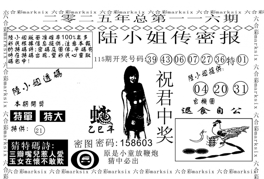 六合彩116期陆小姐传密A(黑白)