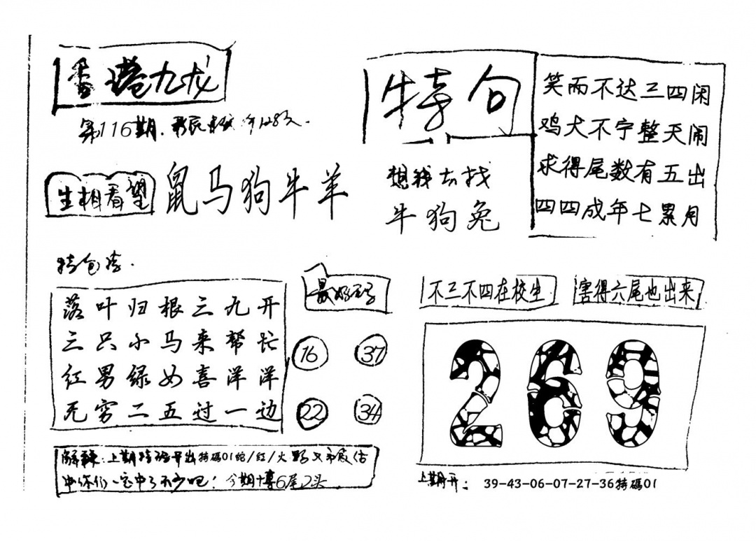 六合彩116期香港九龙(新图)手写(黑白)