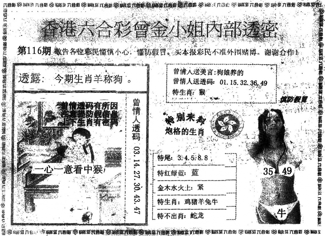 六合彩116期曾金小姐A(黑白)