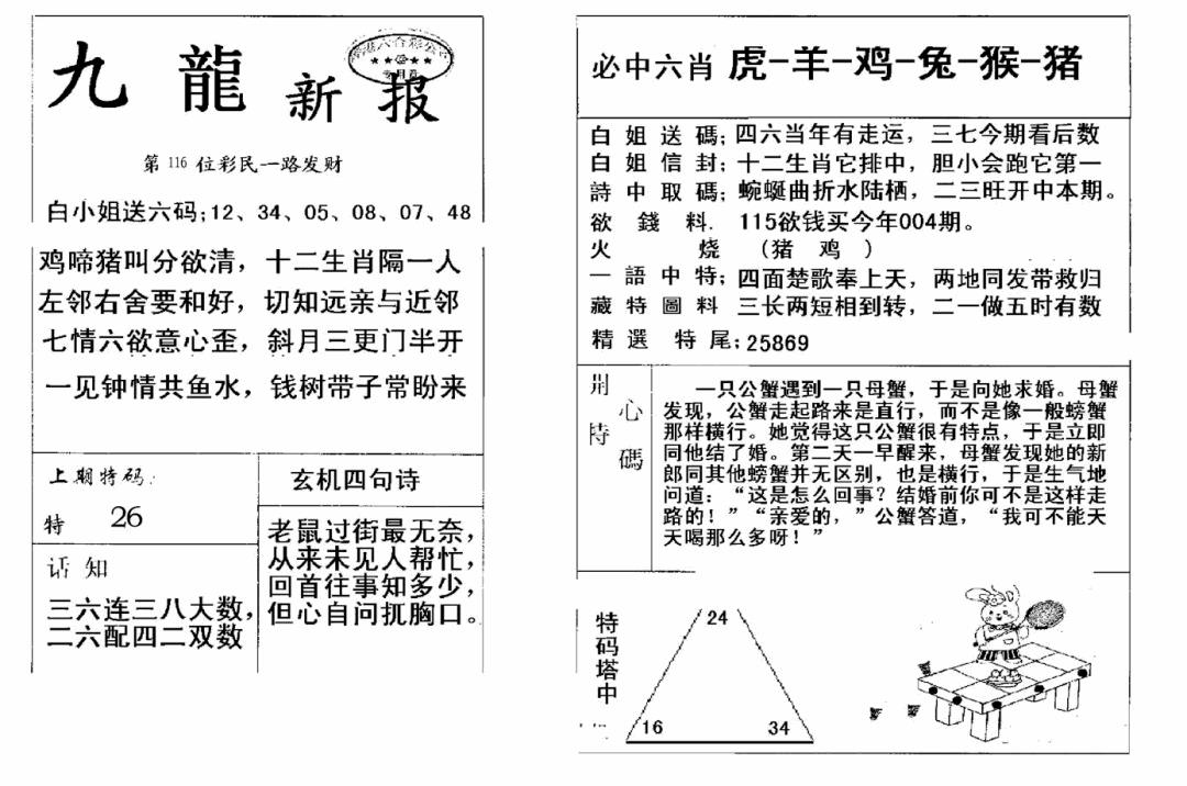 六合彩116期九龙新报(新)(黑白)