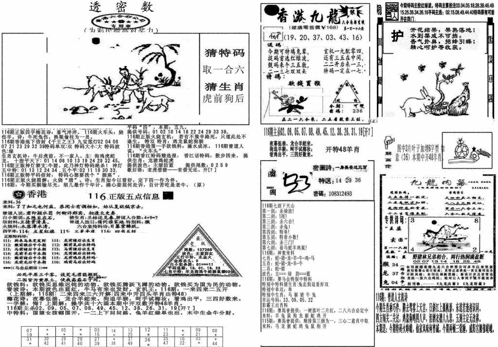 六合彩116期新透密数B(新)(黑白)