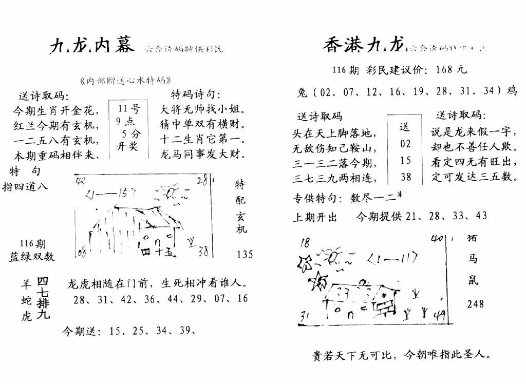 六合彩116期手写九龙内幕(早图)(黑白)