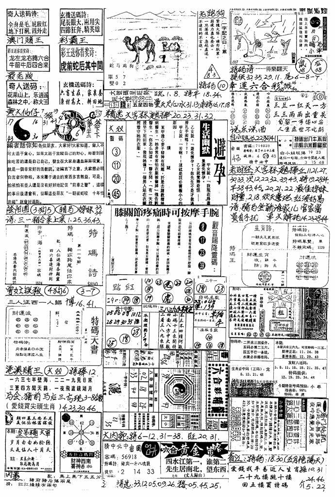 六合彩117期新版手写综合资料B(黑白)