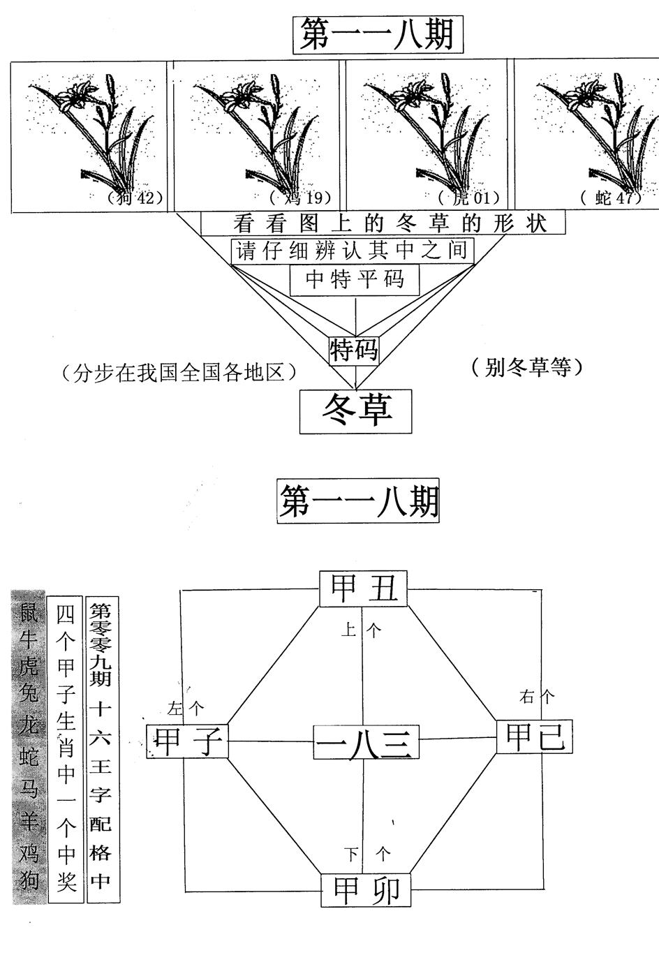 六合彩118期每期一花草(黑白)