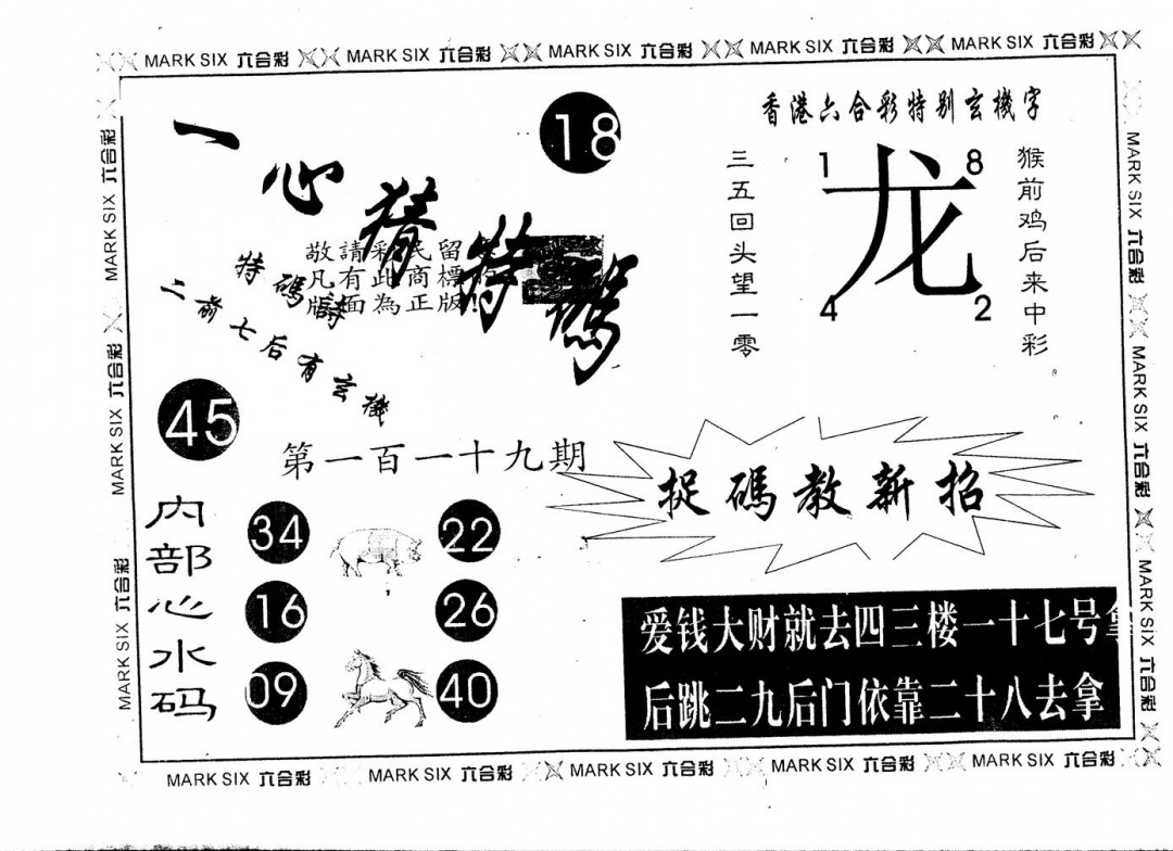 六合彩119期另版一心猜特码(黑白)
