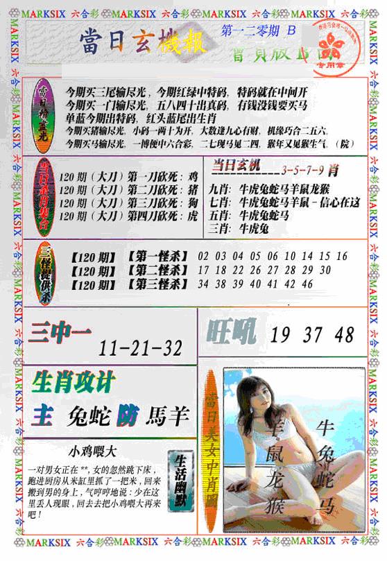 六合彩120期当日特码玄机B(新)(黑白)