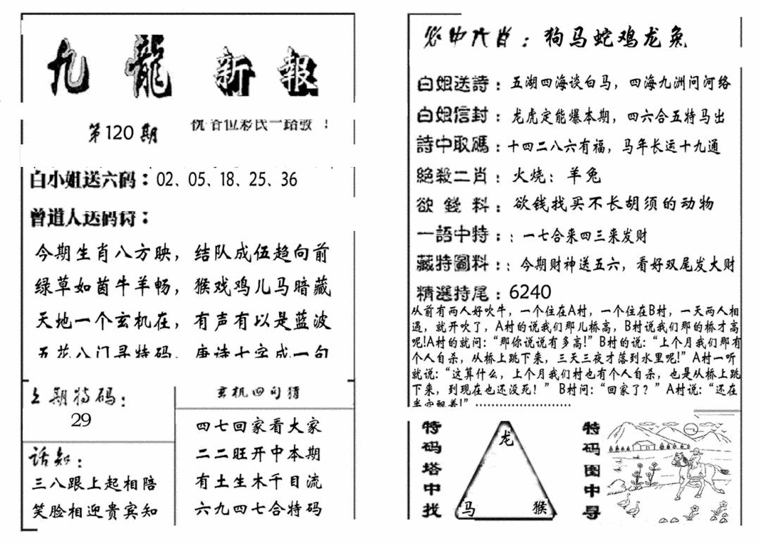 六合彩120期九龙新报(生肖版)(黑白)