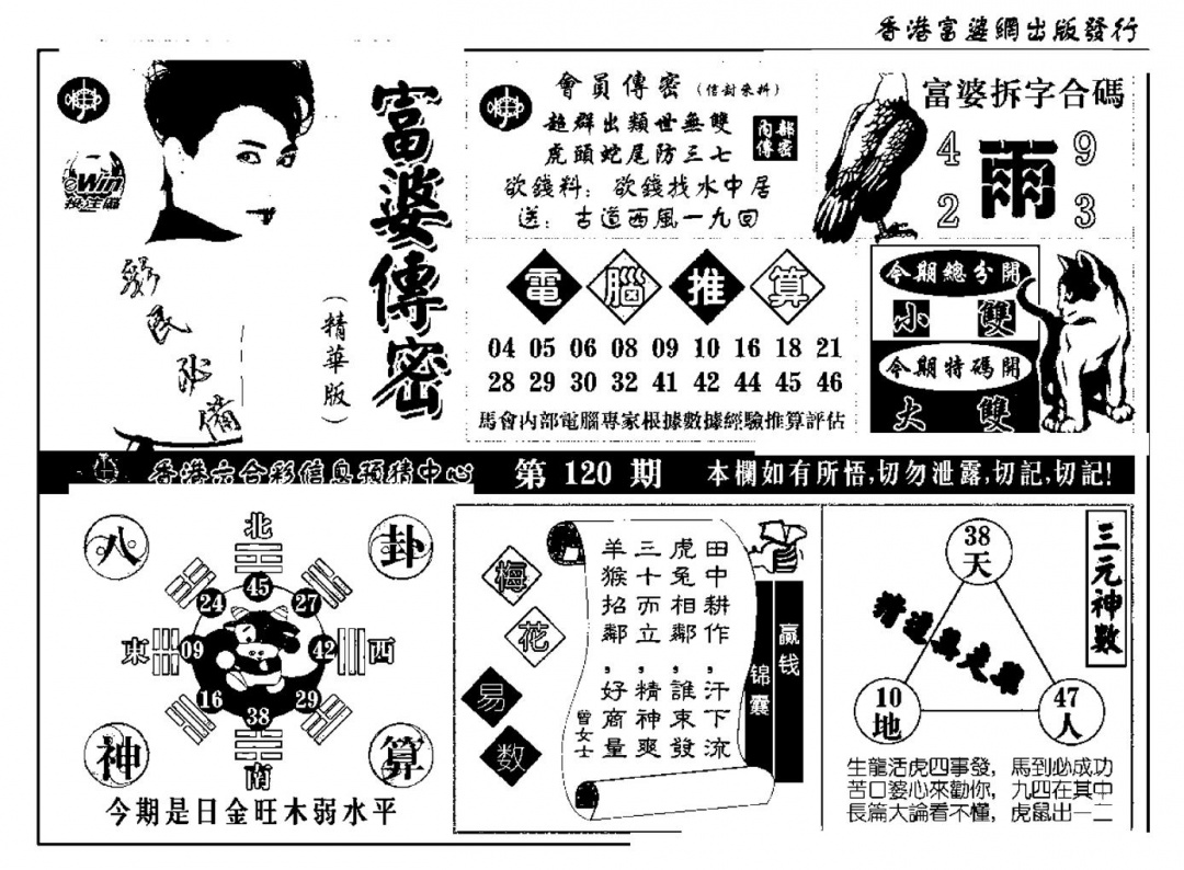 六合彩120期富婆传密(新料)(黑白)