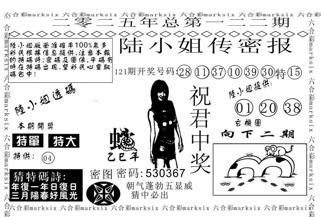 六合彩122期陆小姐传密A(黑白)