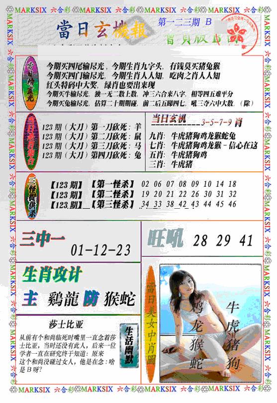六合彩123期当日特码玄机B(新)(黑白)