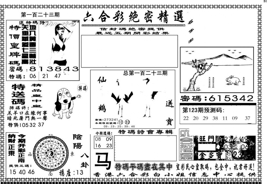 六合彩123期另版白姐绝密精选A(黑白)