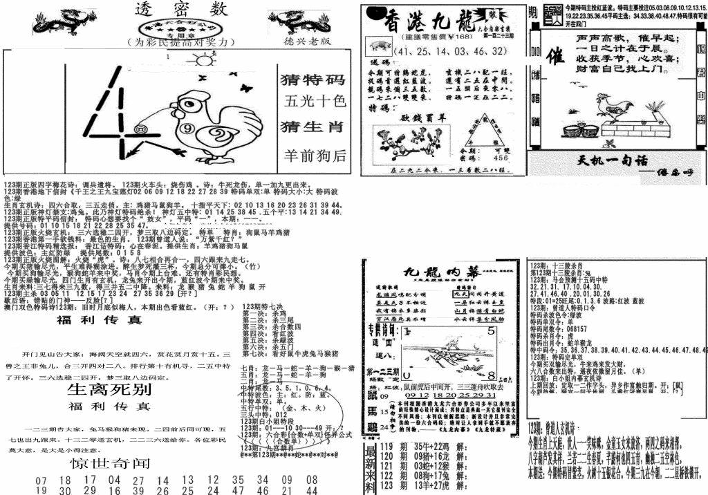 六合彩123期新透密数A(新)(黑白)