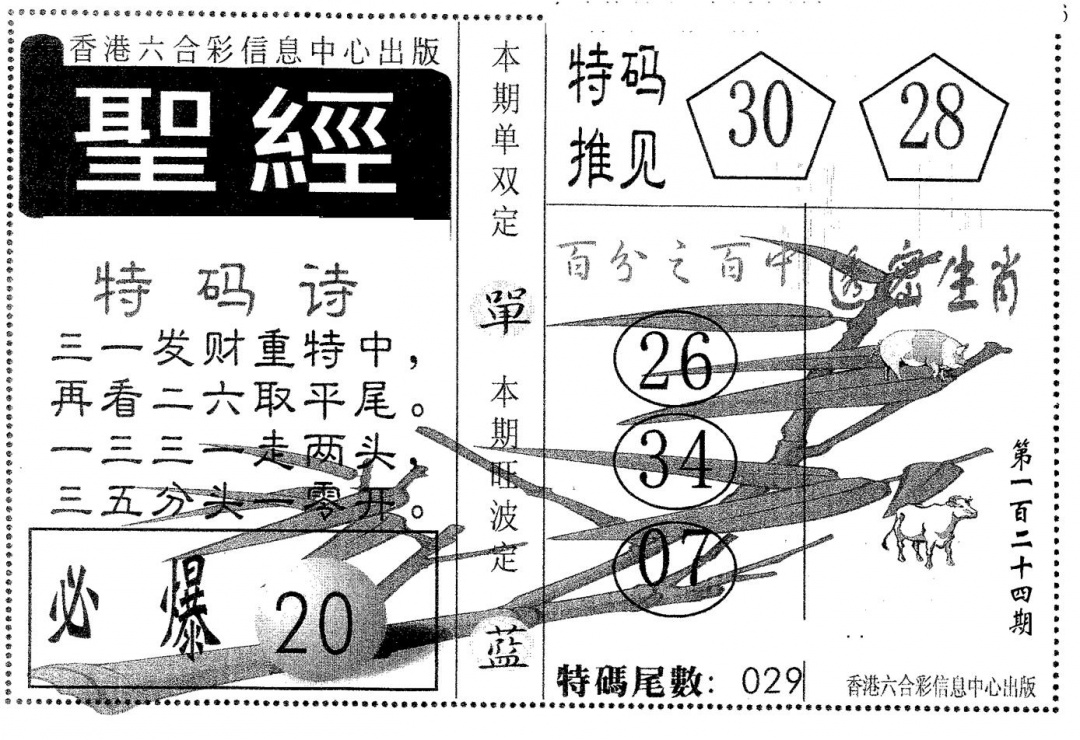 六合彩124期圣经(黑白)
