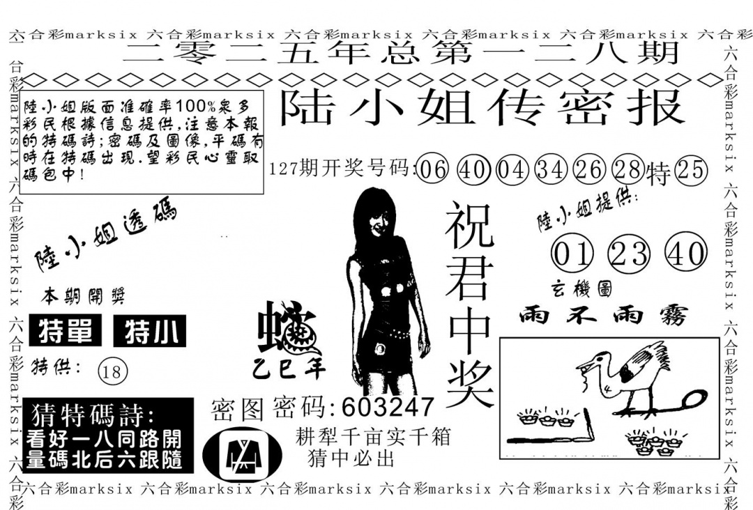 六合彩128期陆小姐传密A(黑白)