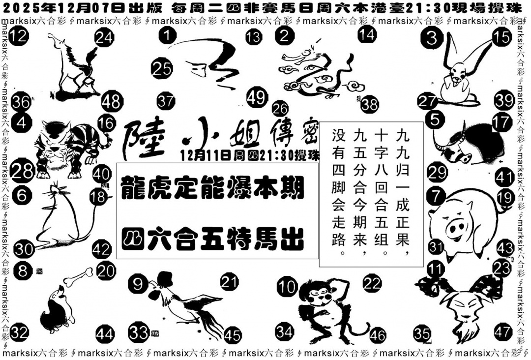 六合彩128期陆小姐传密B(黑白)