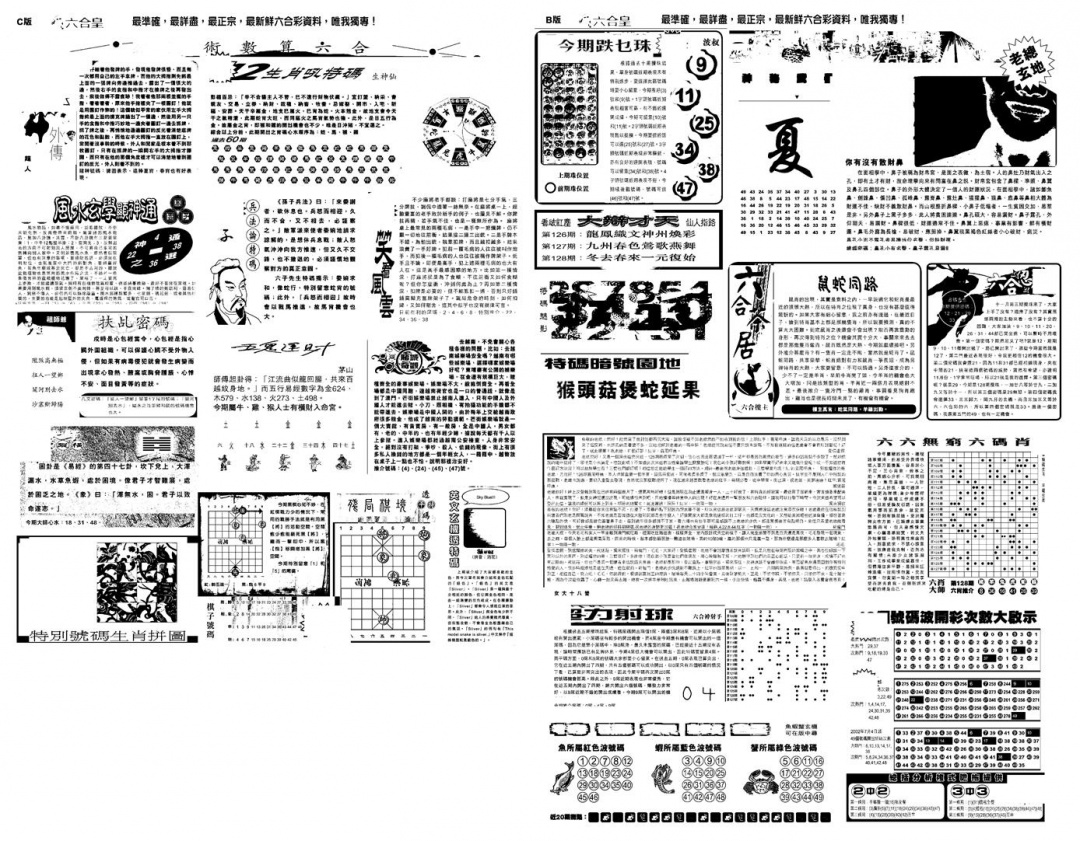 六合彩128期另版六合皇B(黑白)