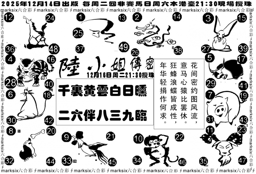 六合彩130期陆小姐传密B(黑白)