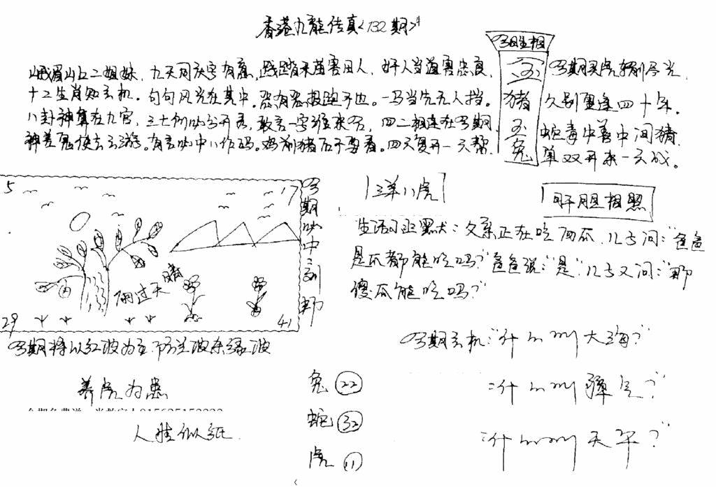 六合彩132期正版手写九龙(黑白)