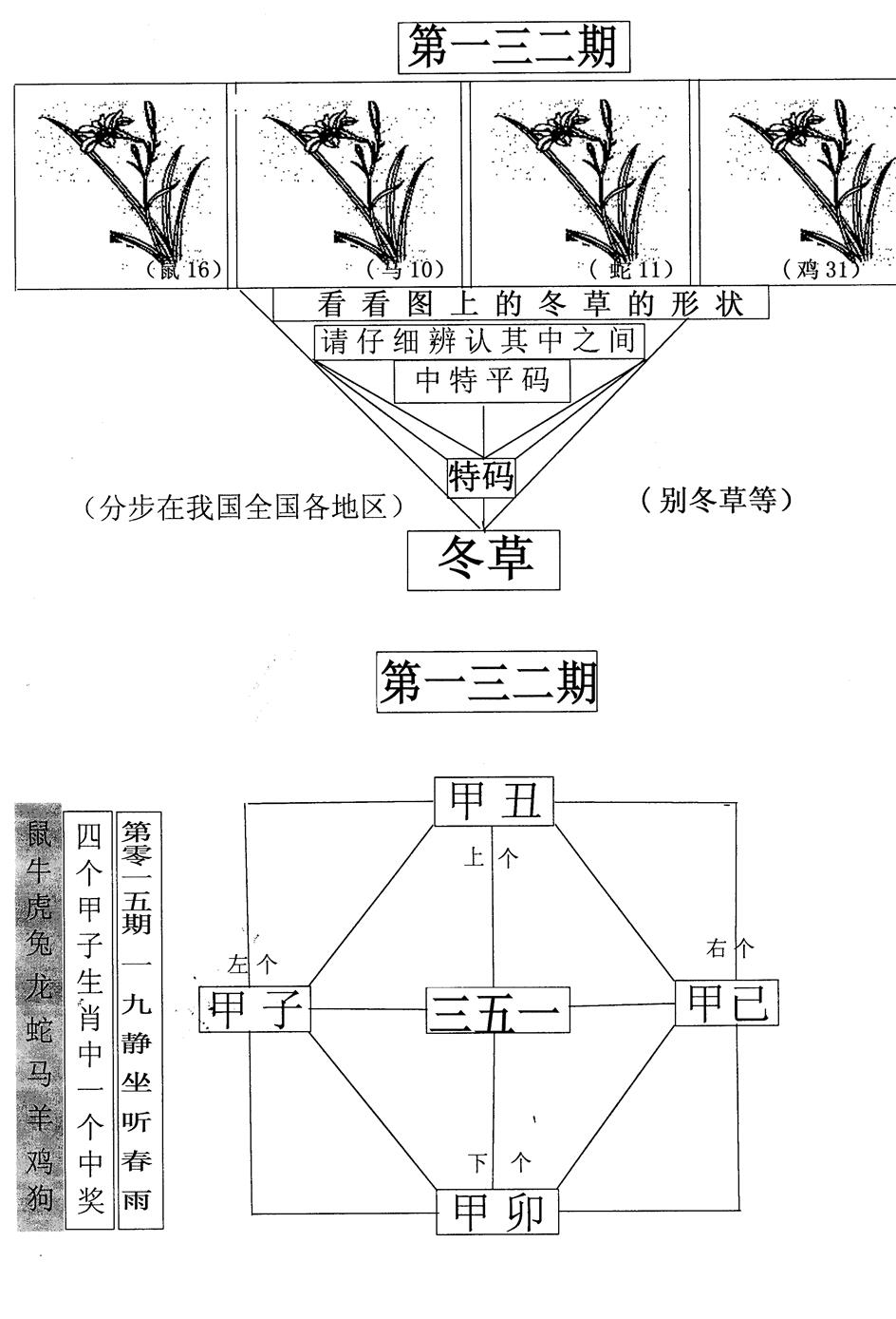 六合彩132期每期一花草(黑白)