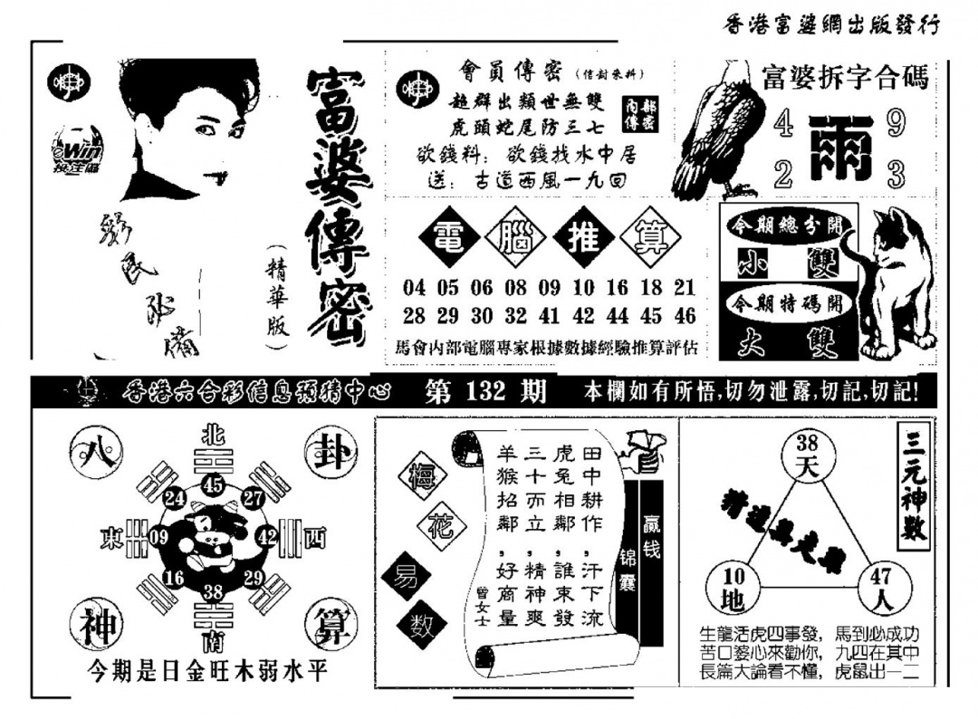 六合彩132期富婆传密(新料)(黑白)