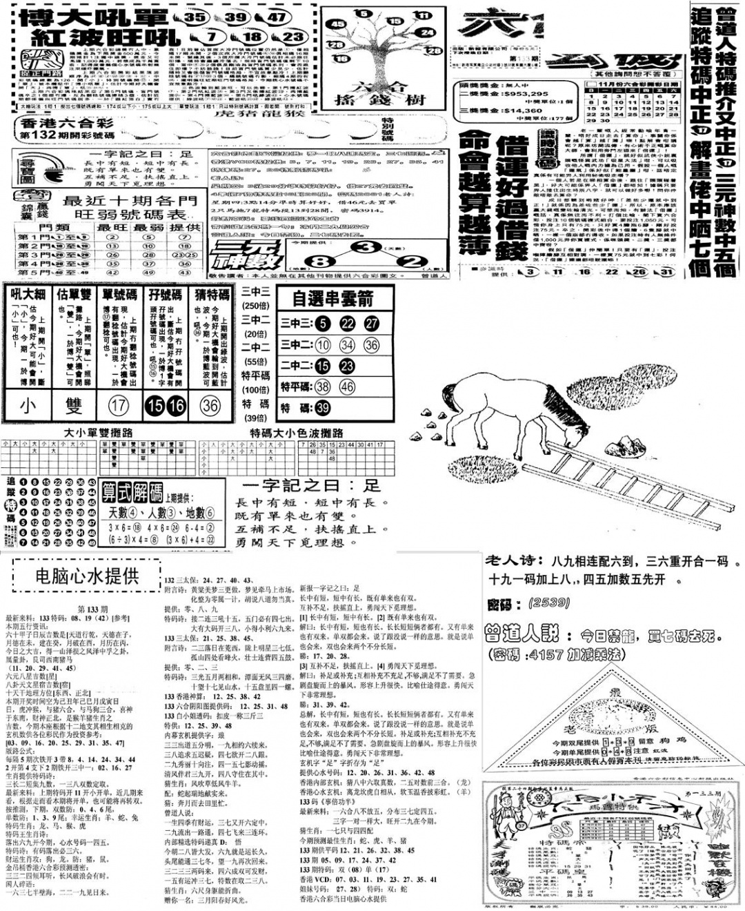 六合彩133期当日报-10(黑白)