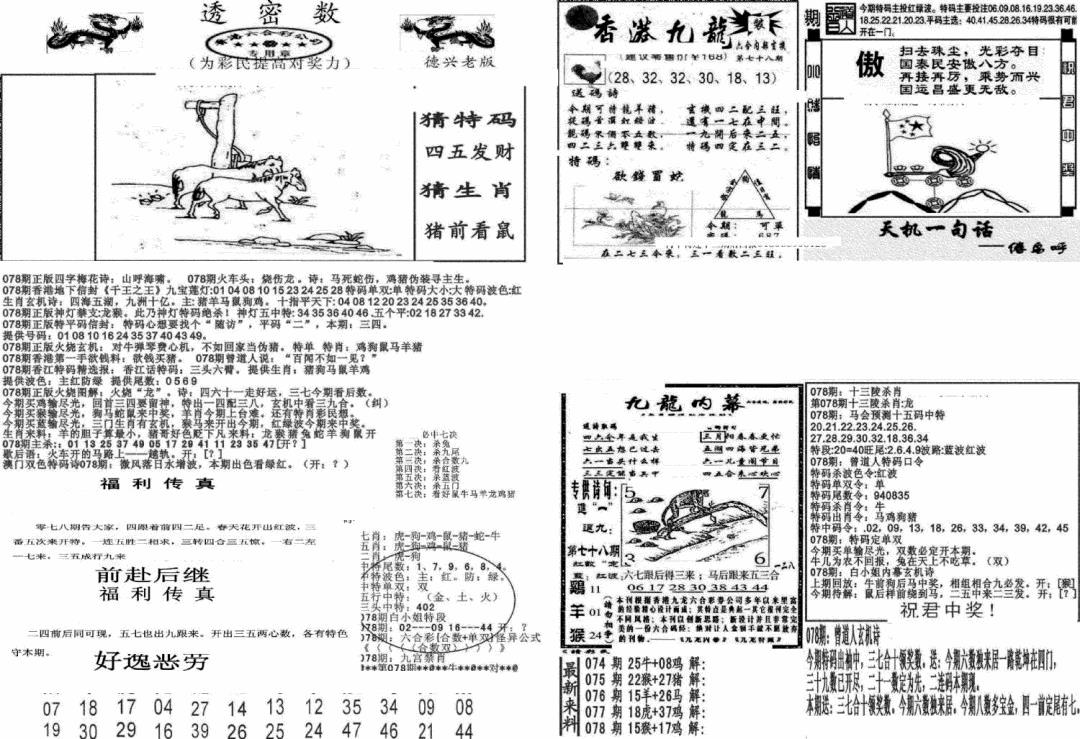 六合彩078期新透密数A(新)(黑白)