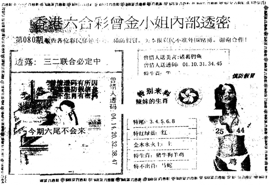 六合彩080期曾金小姐A(黑白)