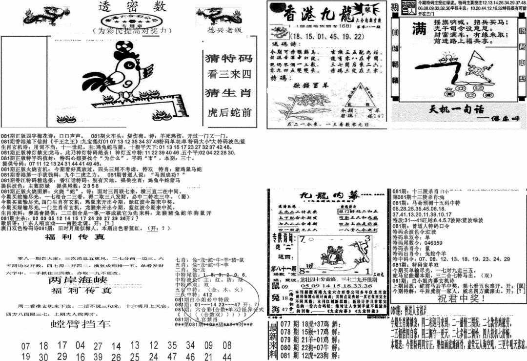 六合彩081期新透密数A(新)(黑白)