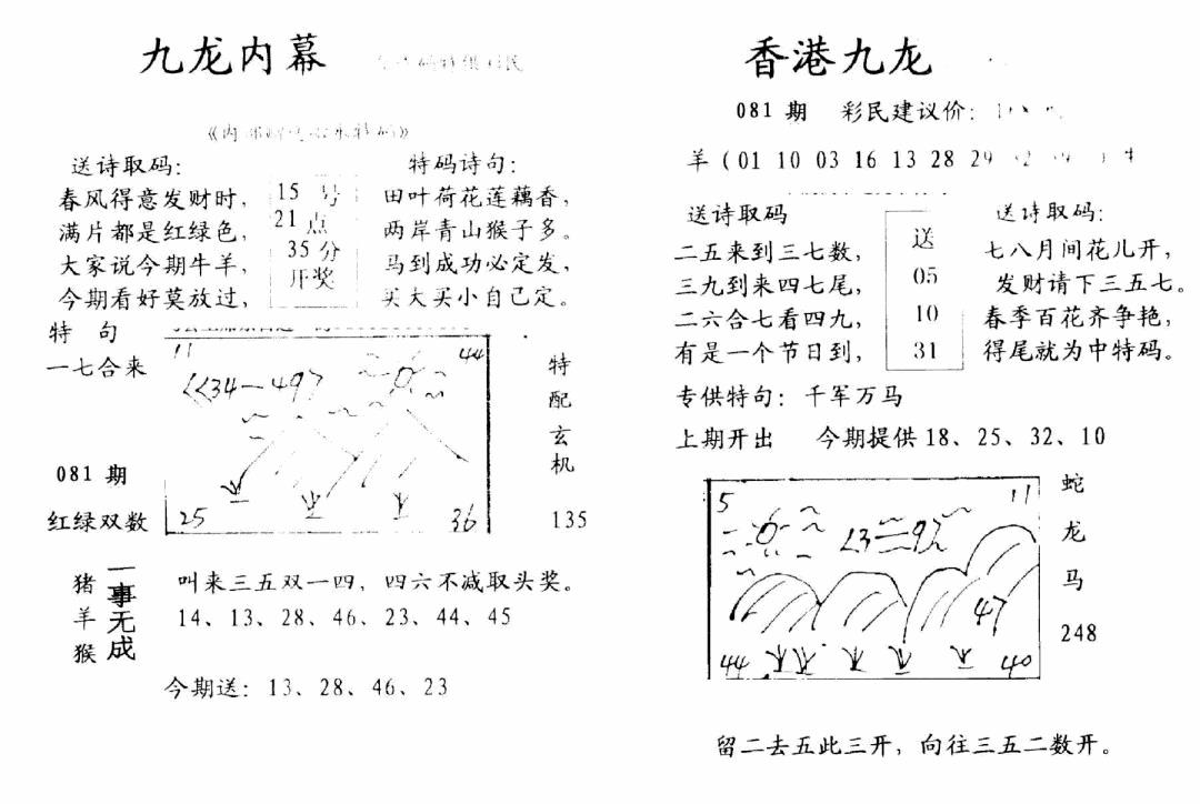 六合彩081期九龙内幕-开奖报(早图)(黑白)