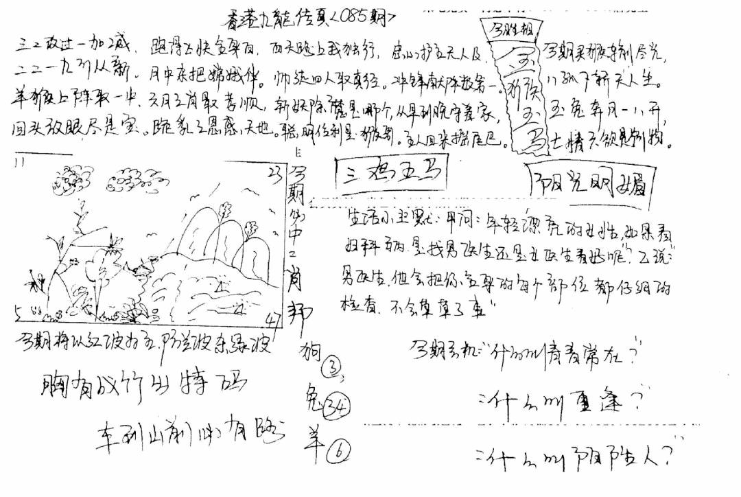 六合彩085期正版手写九龙(黑白)