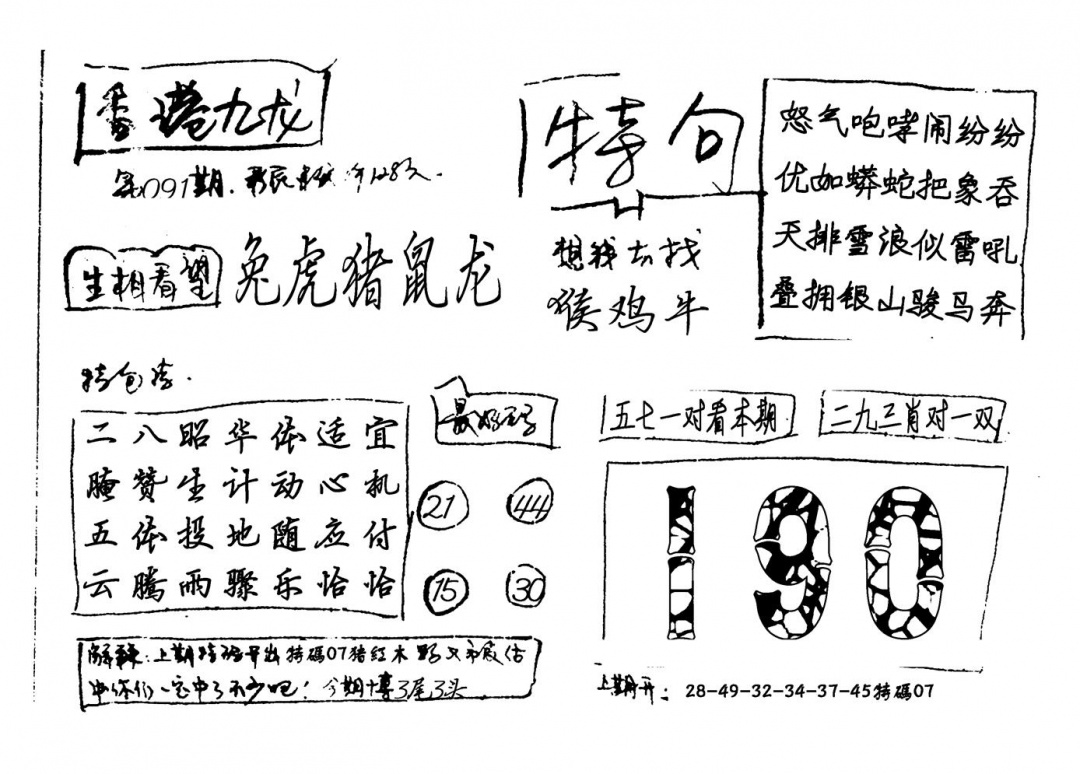 六合彩091期香港九龙(新图)手写(黑白)