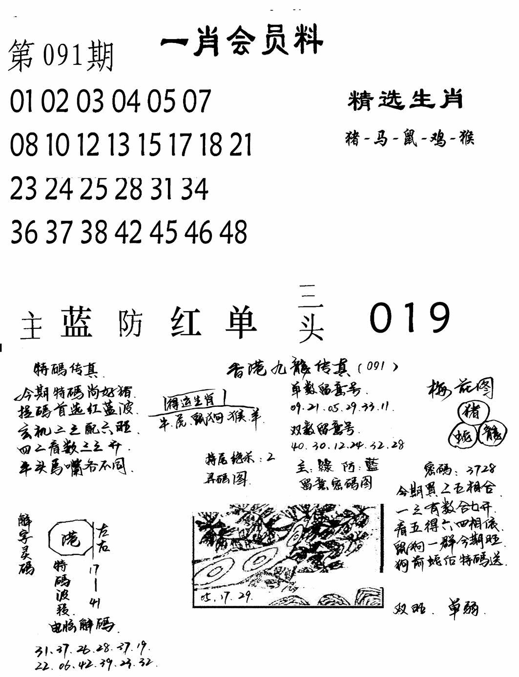 六合彩091期一肖会员料(黑白)