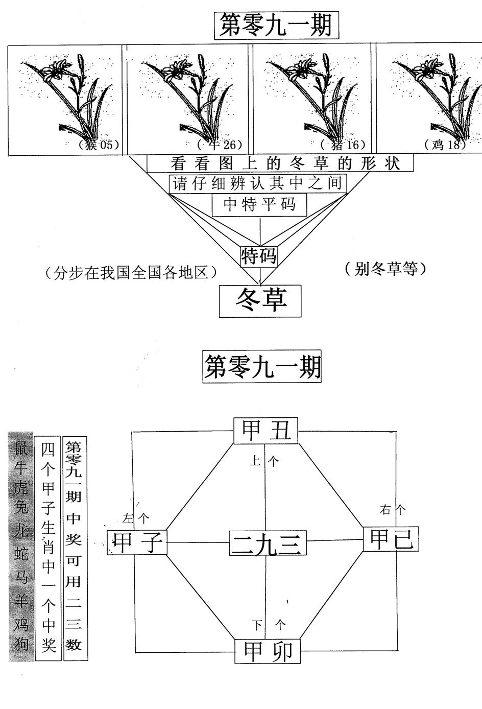 六合彩091期每期一花草(黑白)