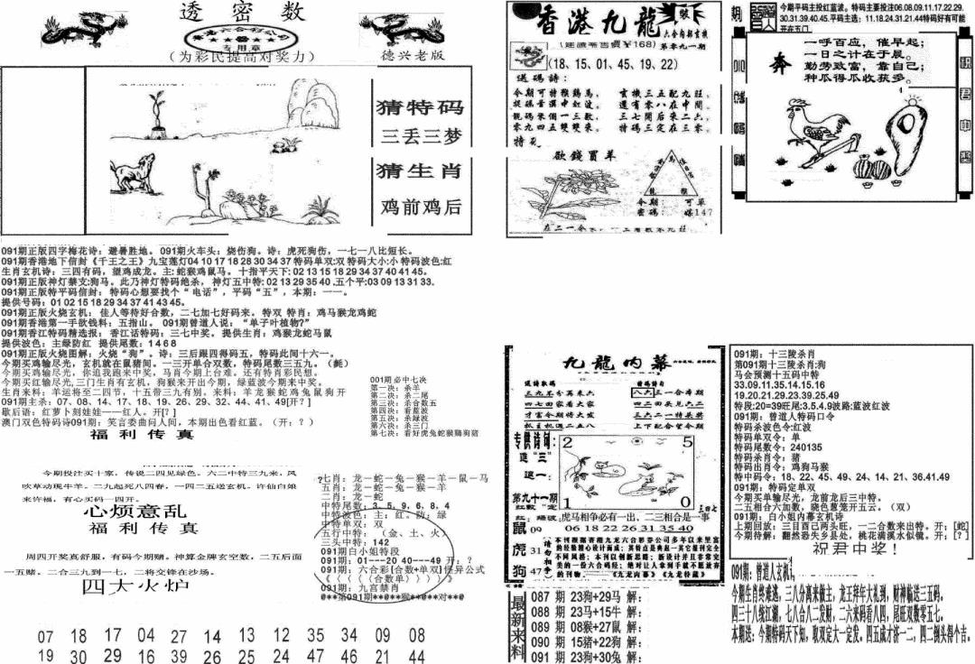 六合彩091期新透密数A(新)(黑白)