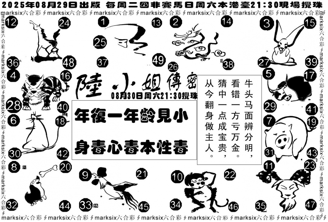 六合彩095期陆小姐传密B(黑白)