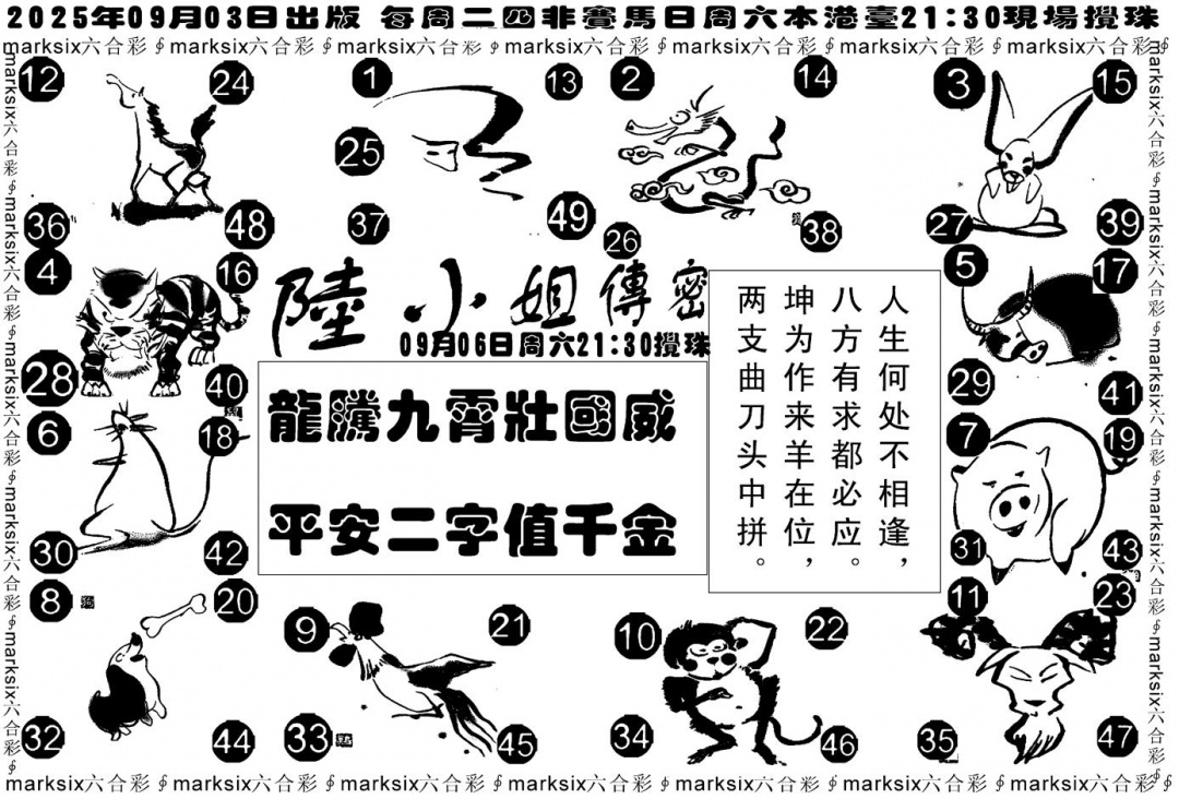 六合彩097期陆小姐传密B(黑白)