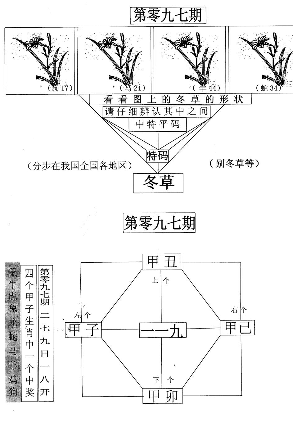 六合彩097期每期一花草(黑白)