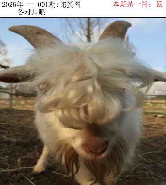 六合彩001期正版蛇蛋图